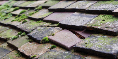 Ellington roof repair costs